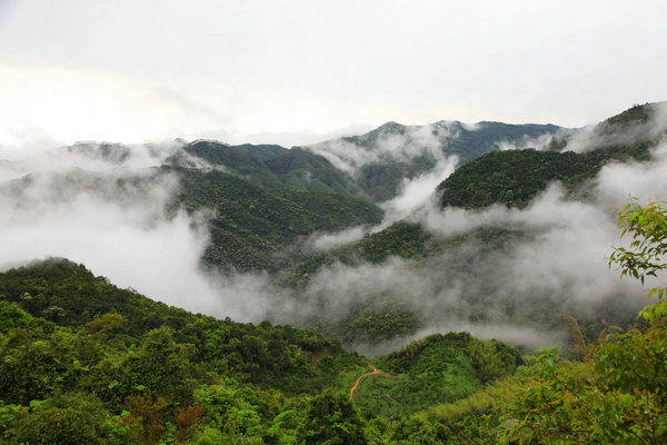 Project launched to revitalize Guangdongs Luofu Mountain(pic2)