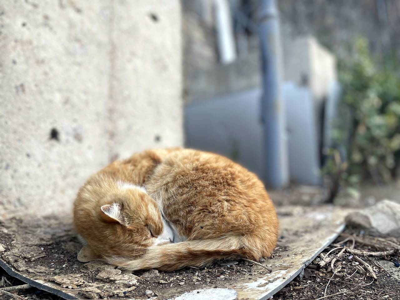 Beijing travel photos 002(pic2)