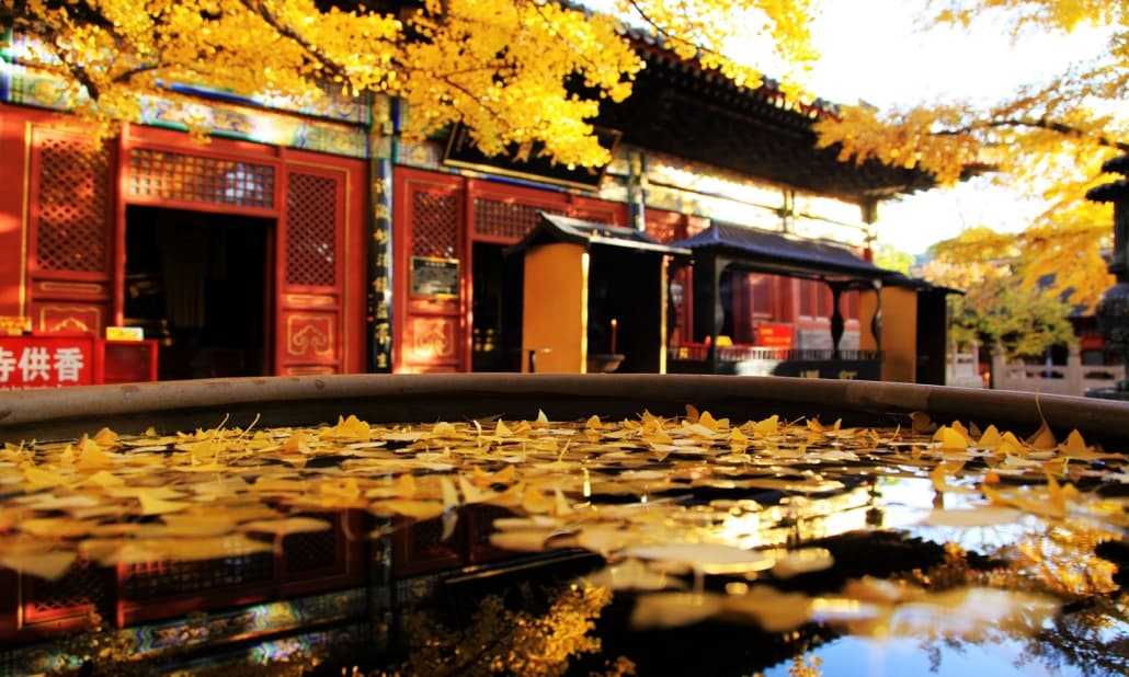 Beijing - Mutianyu Great Wall Scenic Area【Explore Fun】One-Day Trip(pic5)