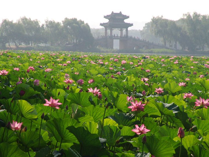 Kunming Lake Area West Causeway(Xidi)(pic5)