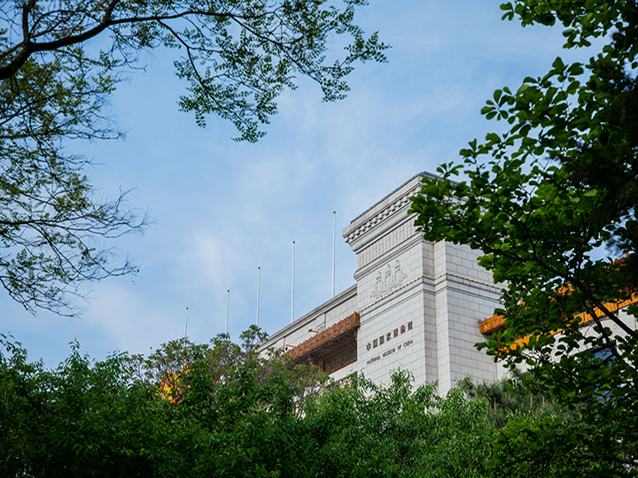 NATIONAL MUSEUM OF CHINA - Visitor 