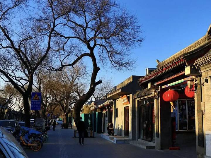 Hutongs: The Cultural Backbone of Beijing